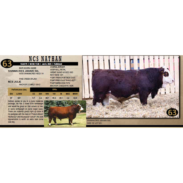 NEWTON CREEK SIMMENTALS