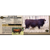 Image 1 : NEWTON CREEK SIMMENTALS