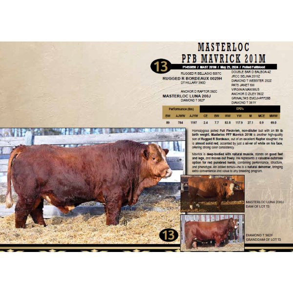 Masterloc Simmentals