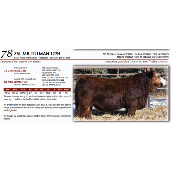 ZSL MR TILLMAN 127H - 10 STRAWS 