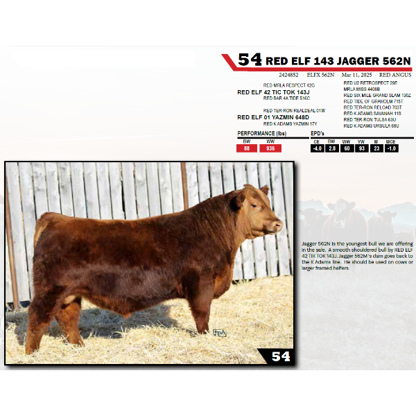 RED ELF 143 JAGGER 562N