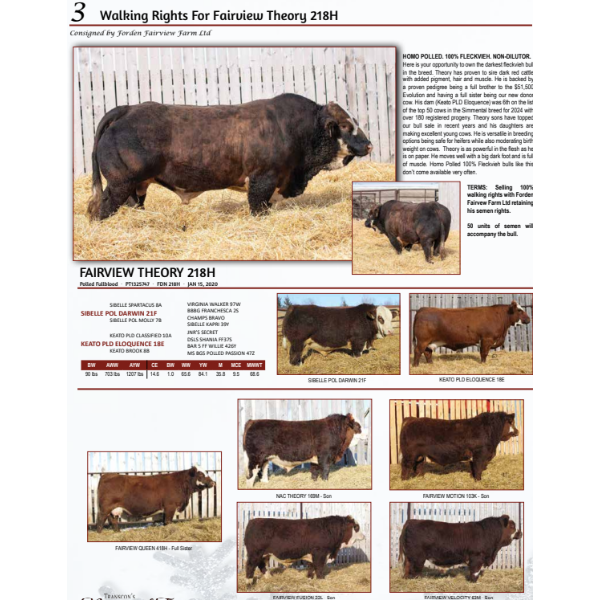 Walking Rights For Fairview Theory 218H