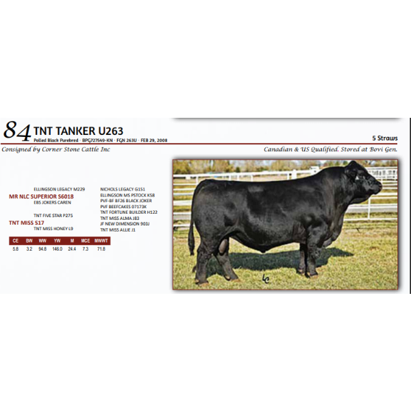 TNT TANKER U263 - 5 Straws 