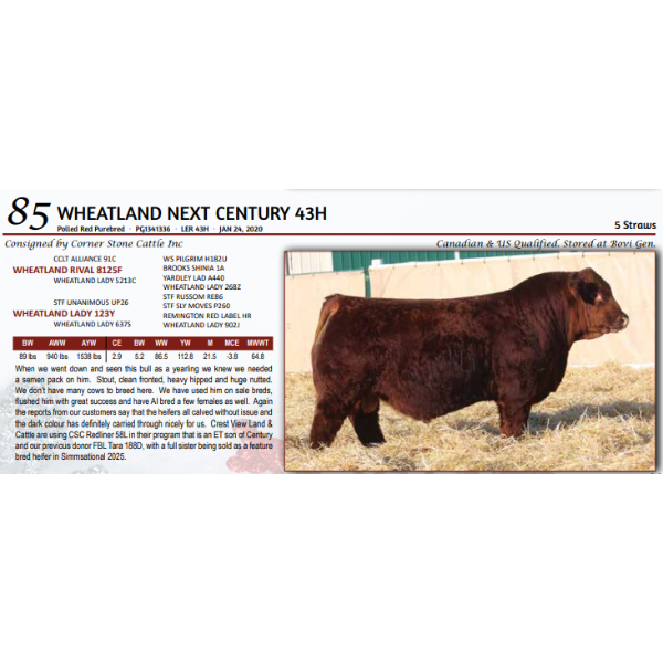 WHEATLAND NEXT CENTURY 43H - 5 Straws 