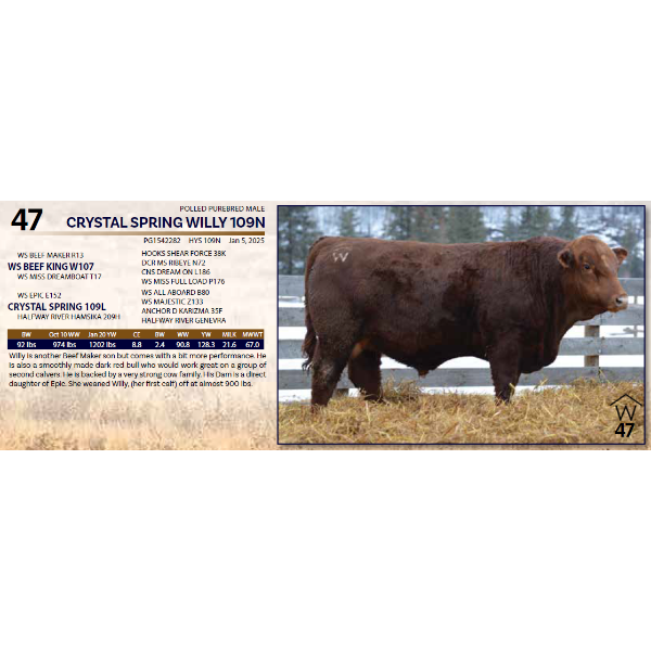 CRYSTAL SPRING WILLY 109N 