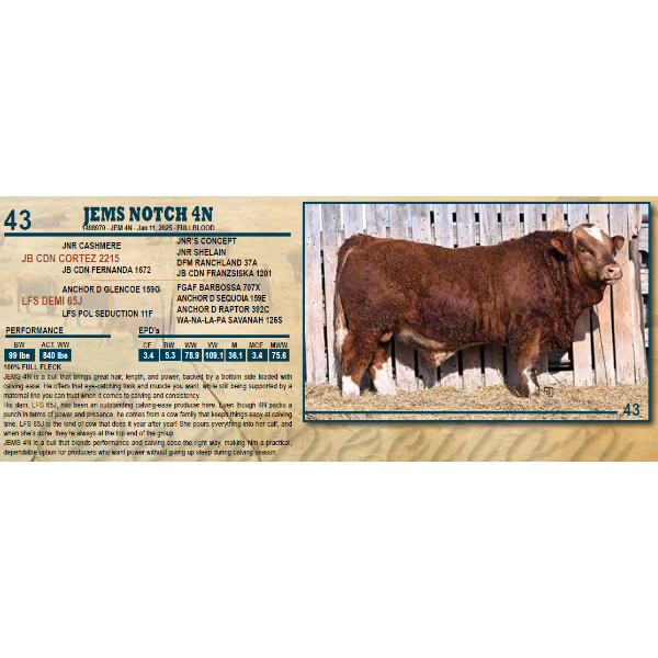 JEMS NOTCH 4N
