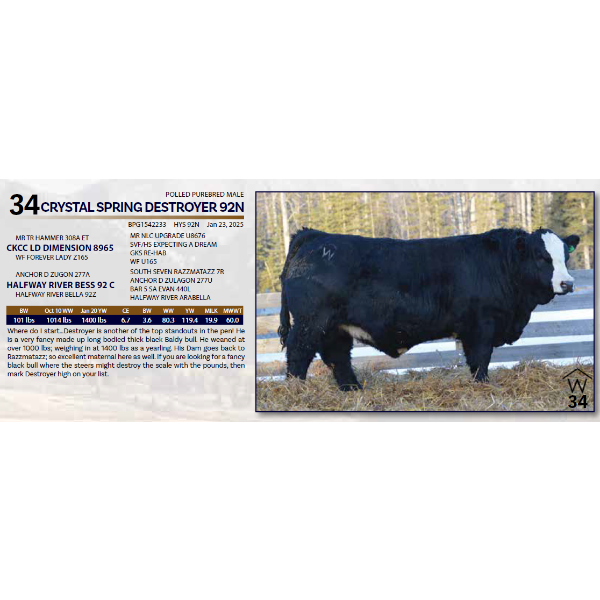 CRYSTAL SPRING DESTROYER 92N