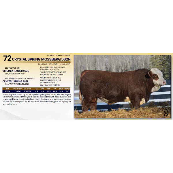 CRYSTAL SPRING MOSSBERG 582N