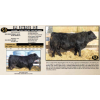 Image 1 : SKYLINE SIMMENTALS