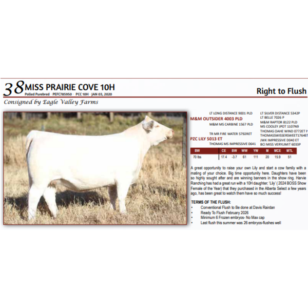 MISS PRAIRIE COVE 10H - Right to Flush 