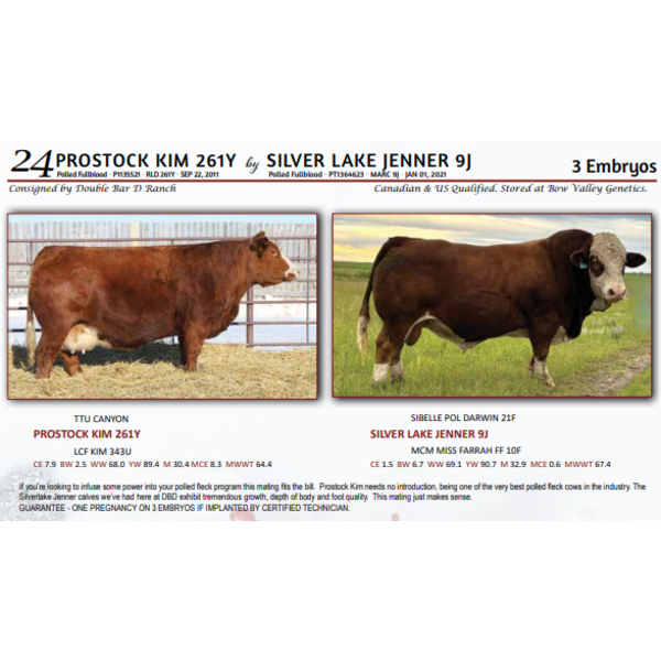 PROSTOCK KIM 261Y by SILVER LAKE JENNER 9J - 3 Embryos