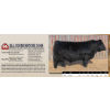 Image 1 : BLL CORNERSTONE 534N