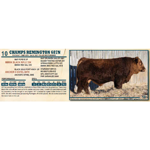 CHAMPS REMINGTON 687N