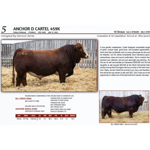 ANCHOR D CARTEL 459K -  5 STRAWS 