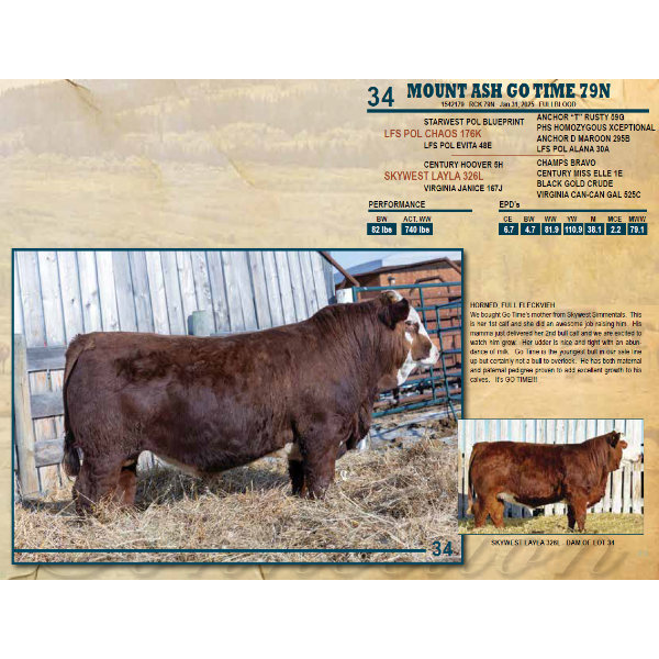 MOUNT ASH GOT TIME 79N