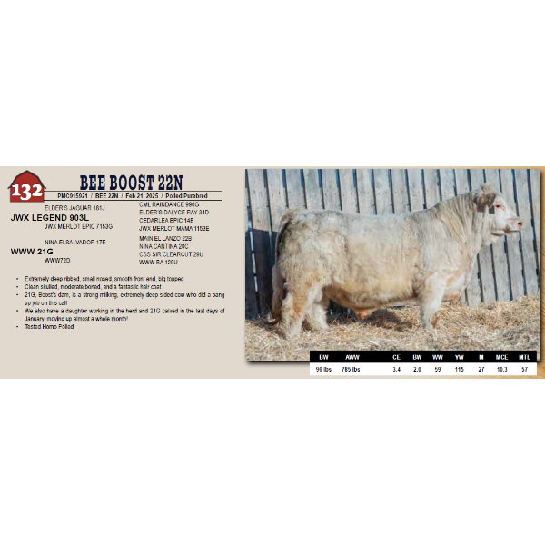 BEE BOOST 22N