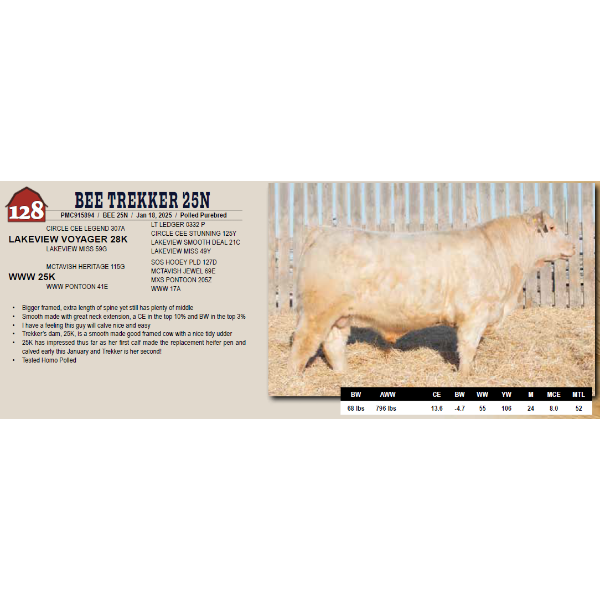 BEE TREKKER 25N