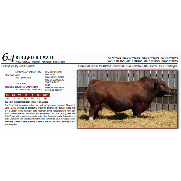 RUGGED R CAVILL - 10 STRAWS 