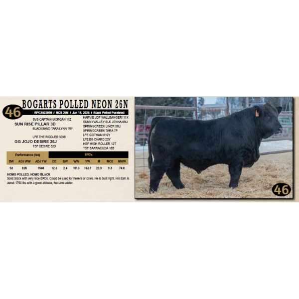 Diamond B Simmentals