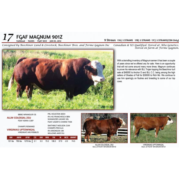 FGAF MAGNUM 901Z - 3 STRAWS