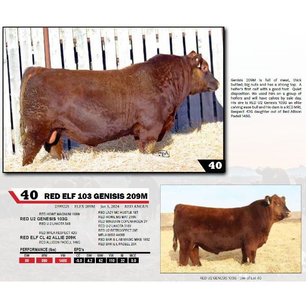 RED ELF 103 GENISIS 209M