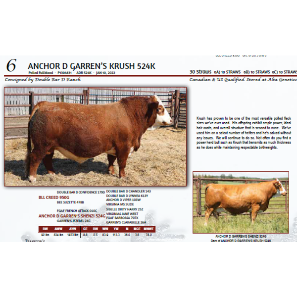 ANCHOR D GARREN’S KRUSH 524K - 10 STRAWS 