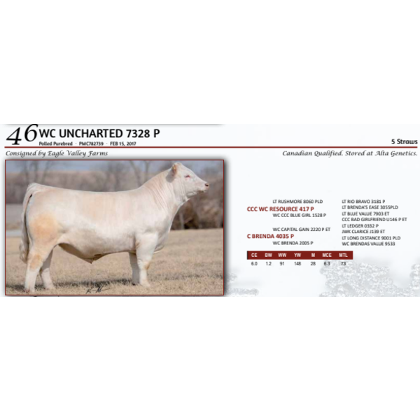 WC UNCHARTED 7328 P - 5 STRAWS 