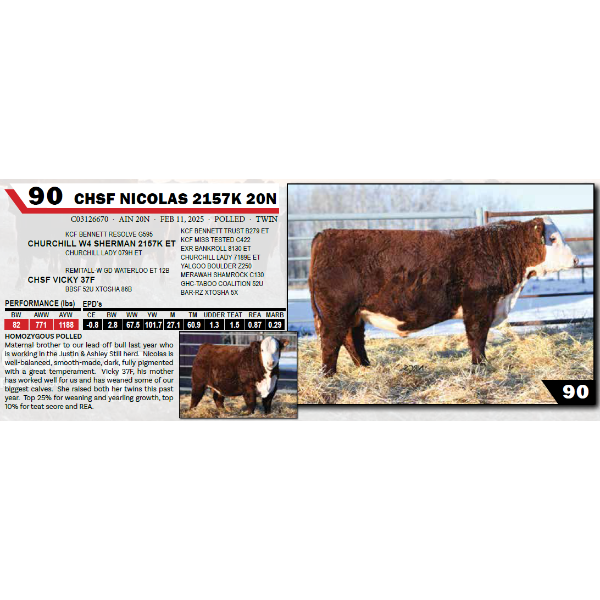 CHSF NICOLAS 2157K 20N