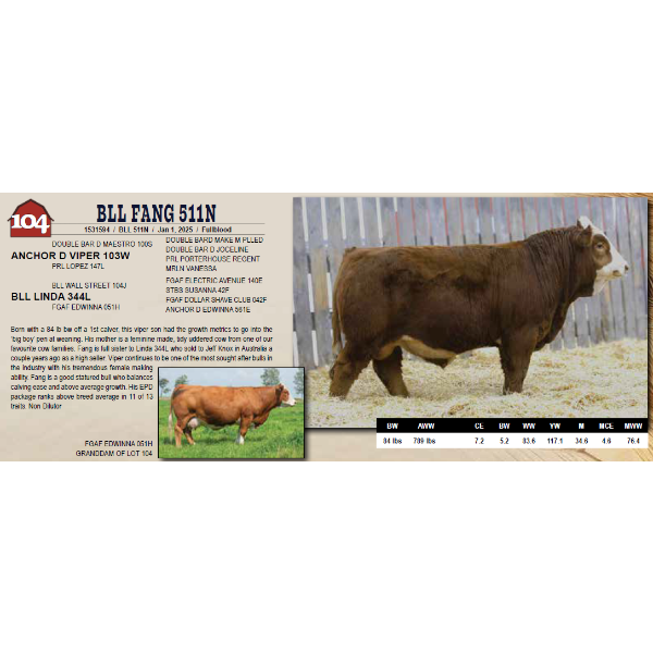 BLL FANG 511N