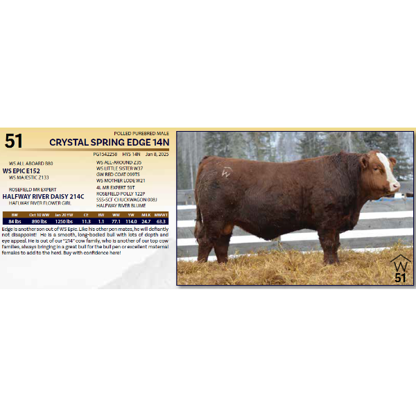 CRYSTAL SPRING EDGE 14N 