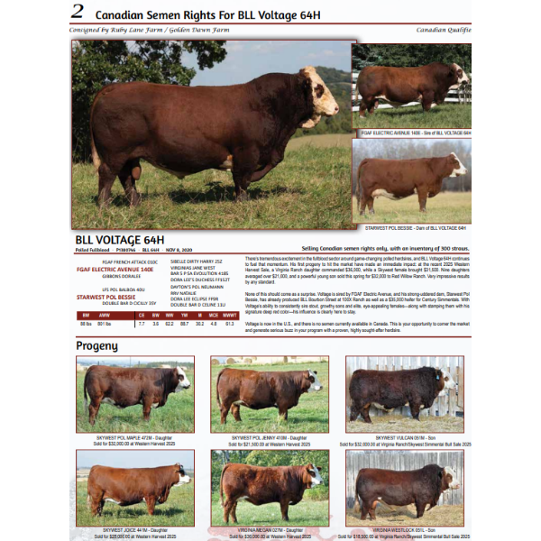 Canadian Semen Rights For BLL Voltage 64H 