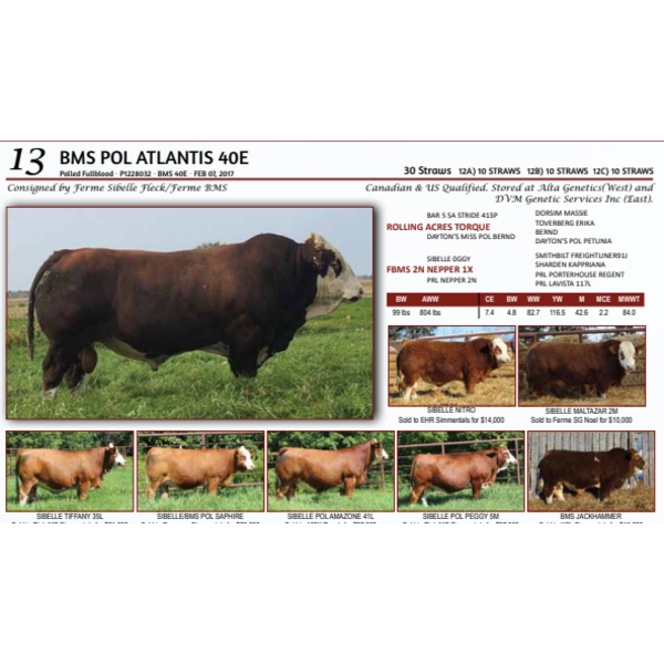 BMS POL ATLANTIS 40E -  10 STRAWS 