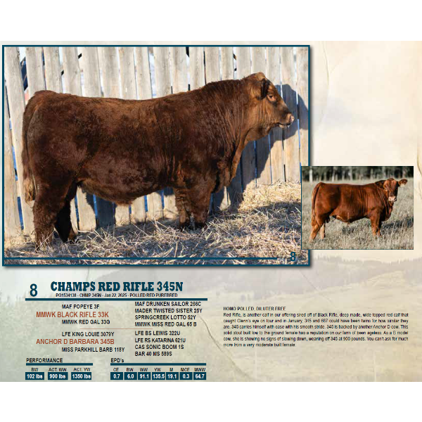 CHAMPS RED RIFLE 345N