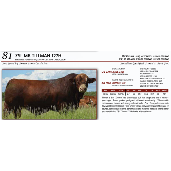 ZSL MR TILLMAN 127H - 10 STRAWS 