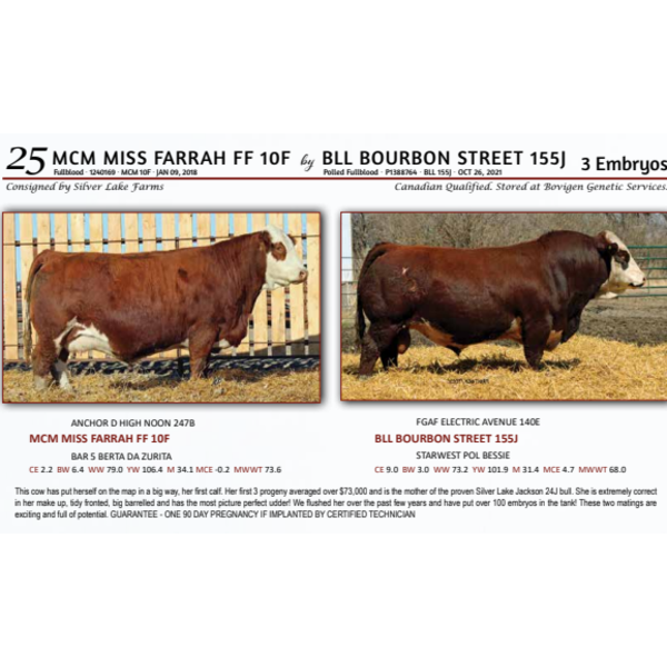 MCM MISS FARRAH FF 10F by BLL BOURBON STREET 155J - 3 Embryos 