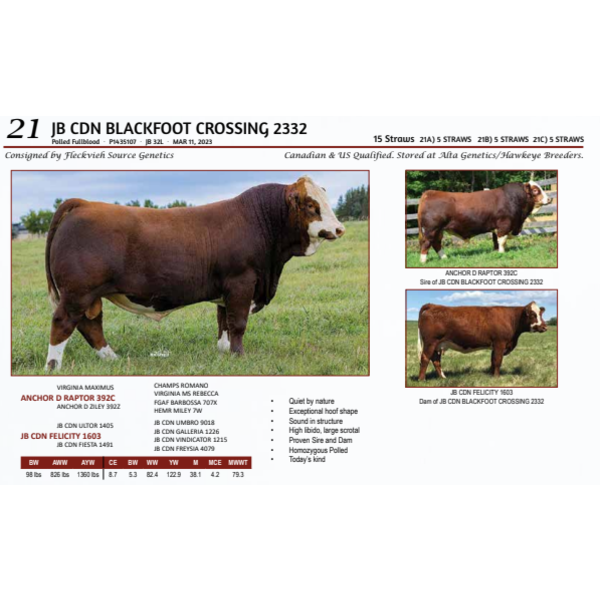 JB CDN BLACKFOOT CROSSING 2332 - 5 STRAWS 