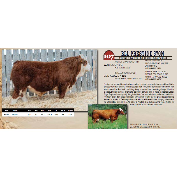 BLL PRESTIGE 570N