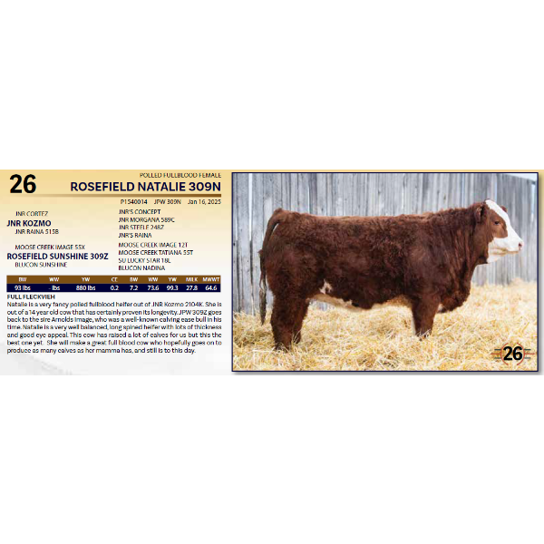 ROSEFIELD NATALIE 309N