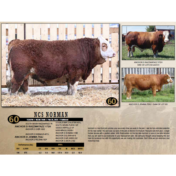 NEWTON CREEK SIMMENTALS