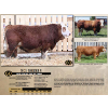 Image 1 : NEWTON CREEK SIMMENTALS