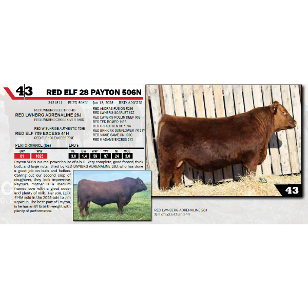 RED ELF 28 PAYTON 506N