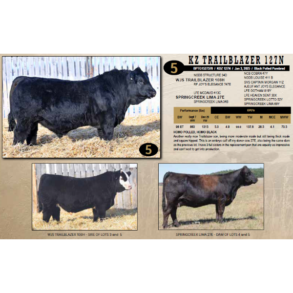KZ Simmentals