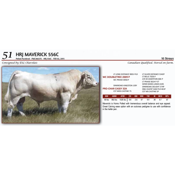 HRJ MAVERICK 556C - 10 Straws 