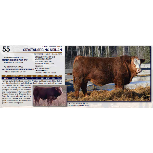 CRYSTAL SPRING NEIL 4N 