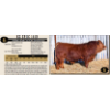 Image 1 : KZ Simmentals