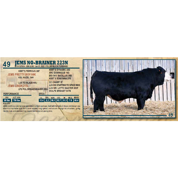 JEMS NO-BRAINER 223N