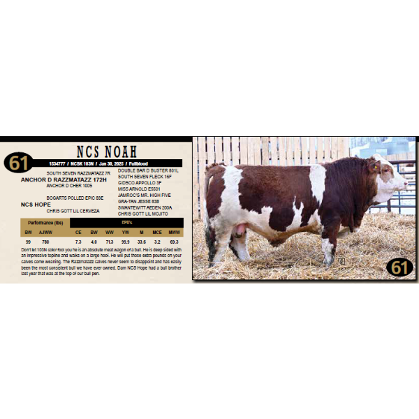 NEWTON CREEK SIMMENTALS