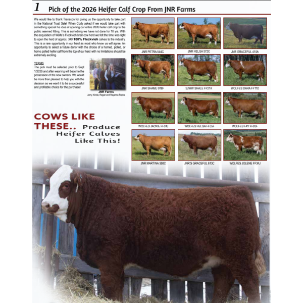 Pick of the 2026 Heifer Calf Crop From JNR Farms