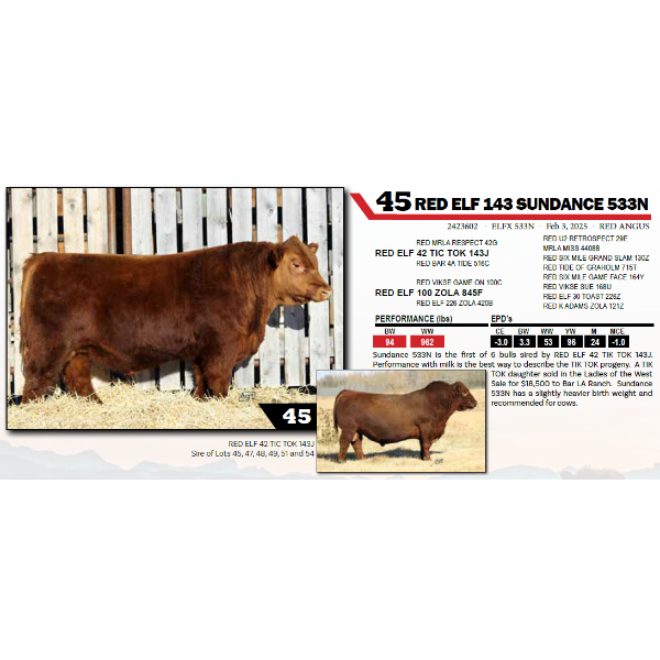 RED ELF 143 SUNDANCE 533N