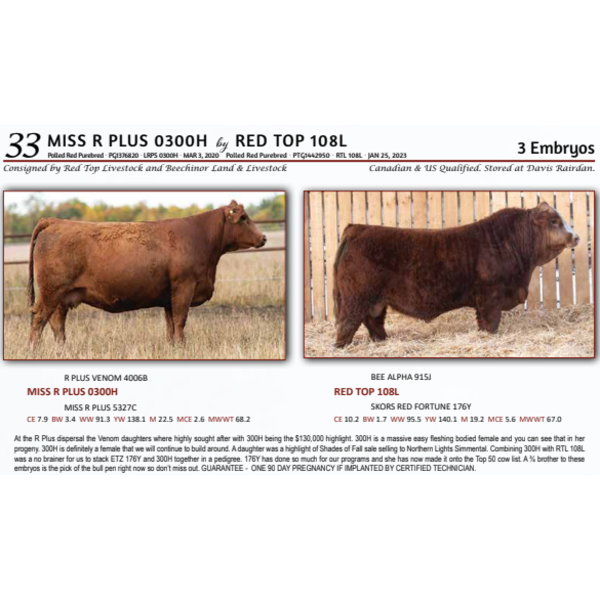 MISS R PLUS 0300H by RED TOP 108L - 3 Embryos 